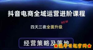 抖音电商全域运营进阶课程，经营策略及落地，全链路拆解直击底层逻辑-流年日记