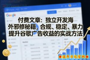付费文章:独立开发海外邪修秘籍,合规、稳定、暴力提升谷歌广告收益的实战方法-流年日记