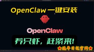 openclaw安装教程和资料，10分钟搞定，一切，让你轻松拥有龙虾-流年日记