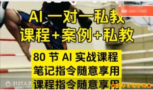 AI指令实战课，课程+案例，80节AI实战课程，笔记指令随意享用，课程指令随意享用（更新26年3月）-流年日记
