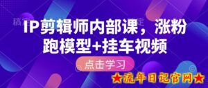 IP剪辑师内部课，涨粉跑模型+挂车视频（更新）-流年日记