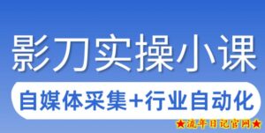 3天攻克影刀RPA：自媒体数据采集+行业自动化全流程-流年日记