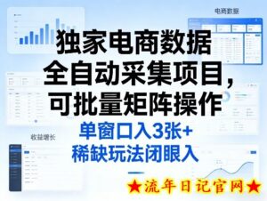 独家电商数据全自动采集项目，可批量矩阵操作，单窗口日入3张+，稀缺玩法闭眼入【揭秘】-流年日记