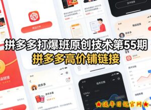 拼多多打爆班原创技术第55期，拼多多高价铺链接-流年日记