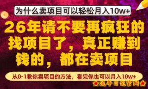 为什么真正賺到钱的都在卖项目，从0-1教你卖项目的方法，看完你也可以月入10w+【揭秘】-流年日记