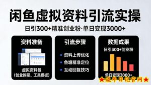 靠闲鱼虚拟资料引流，日引300+精准创业粉，单日变现3k+实操【揭秘】-流年日记