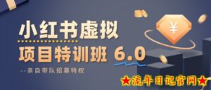 小红书虚拟项目特训课8.0，帮你从0到1打造稳定盈利的店铺，抓住流量红利（更新3月）-流年日记