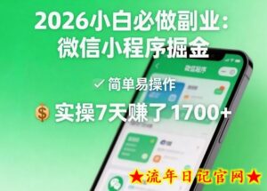 2026小白必做副业：微信小程序掘金，简单易操作，实操7天賺了1700+【揭秘】-流年日记