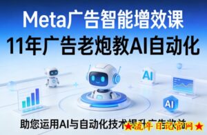 Meta广告智能增效课,11年广告老炮教AI自动化,助您运用AI与自动化技术提升广告收益-流年日记