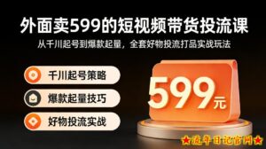外面卖599的短视频带货投流课：从千川起号到爆款起量，全套好物投流打品实战玩法-流年日记