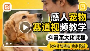 感人宠物赛道视频教学，抖音某大佬课程，可做伙伴计划精选独家收益-流年日记