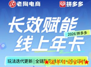 拼多多线上SVIP线上年卡，从认知到基础、从推广到活动、从活动到玩法，全链路实战（26年4月6日更新）-流年日记