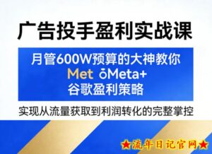 广告投手盈利实战课，月管600W预算的大神教你Meta+谷歌盈利策略，实现从流量获取到利润转化的完整掌控-流年日记
