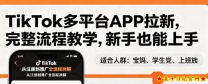 TikTok多平台APP拉新,完整流程教学,新手也能上手,轻松出海搞美金-流年日记