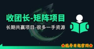 【团长合作】视频矩阵项目_招发手矩阵+剪辑师，共赢项目【揭秘】-流年日记