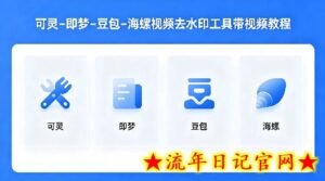 可灵–即梦–豆包–海螺视频去水印工具带视频教程-流年日记