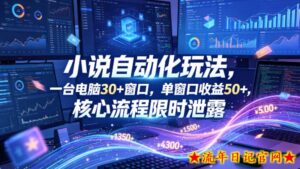 小说挂G自动化玩法，一台电脑30+窗口，单窗口收益50+，核心流程限时泄露【揭秘】-流年日记
