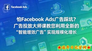怕Facebook Ads广告踩坑？广告投放大师课教您利用全新的“智能增效广告”实现规模化增长【原创双语字幕】-流年日记