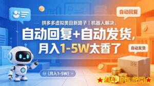 拼多多虚拟类目新路子｜机器人解决，自动回复+自动发货，月入1-5W太香了【揭秘】-流年日记