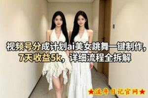 视频号分成计划ai美女跳舞一键制作，7天收益5k，详细流程全拆解-流年日记