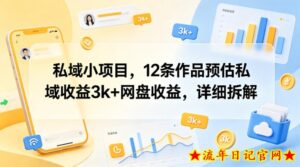 私域小项目，12条作品预估私域收益3k+网盘收益，详细拆解-流年日记