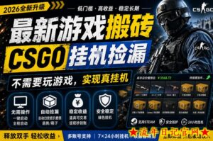 最新游戏搬砖，CSGO纯挂G，不需要玩游戏，实现真挂G，月入1W+，五一小高峰上车可吃肉，手机即可操作【揭秘】-流年日记