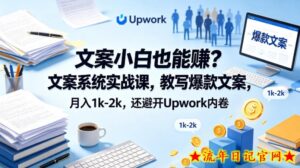 文案小白也能賺？文案系统实战课，教写爆款文案，月入1k-2k，还避开Upwork内卷【原创双语字幕】-流年日记