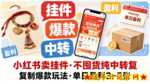 小红书卖挂件，不囤货纯中转复制爆款玩法，单日盈利3-5张-流年日记