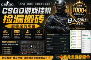 CSGO游戏搬砖，全自动挂G，不需要玩游戏，手机操作日入300+，解放双手【揭秘】-流年日记