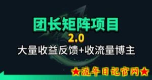 【团长合作2.0】视频矩阵项目_招发手矩阵+剪辑师，共赢项目【揭秘】-流年日记