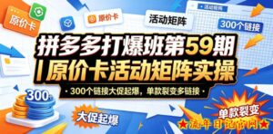 拼多多打爆班第59期｜原价卡活动矩阵实操，300个链接大促起爆，单款裂变多链接-流年日记