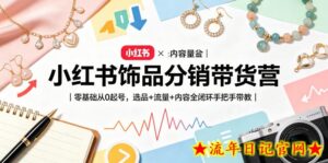 小红书饰品分销带货营｜零基础从0起号，选品+流量+内容全闭环手把手带教-流年日记
