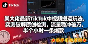 某大佬最新TikTok中视频搬运玩法，实测破解原创检测，流量稳冲破万，半个小时一条爆款-流年日记