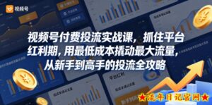 视频号付费投流实战课，抓住平台红利期，用最低成本撬动最大流量，从新手到高手的投流全攻略-流年日记