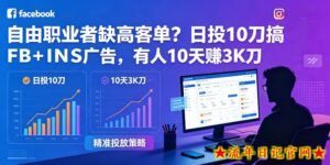 自由职业者缺高客单？日投10刀搞FB+INS广告，有人10天赚3K刀！【原创双语字幕】-流年日记