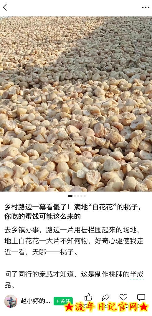 公众号小绿书贴图项目，赚收益实操玩法，听话照听话照少走90%弯路丨副业可做