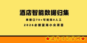 酒店智能数据归集，小众蓝海已经稳定半年之久，单窗口70+零成本矩阵开干【揭秘】-流年日记