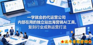 一学就会的代运营公司内部在用的独立站出海营销AI工具，复刻行业成熟运营打法-流年日记