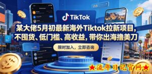 某大佬5月初最新海外Tiktok拉新项目，不囤货、低门槛、高收益，带你出海撸美刀-流年日记