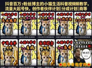 抖音百万粉丝博主的小猫生活科普视频教学，流量大起号快，创作者伙伴计划|分成计划|商单|收徒等-流年日记