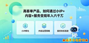 高客单产品,如何通过小IP+内容+服务变现年入六干W-流年日记