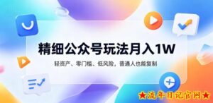 精细公众号玩法月入1W，轻资产、零门槛、低风险，普通人也能复制【揭秘】-流年日记