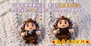 抖音短视频新玩法生活科普爆款玩法，6条作品涨粉3.7W，流量火爆起号快，小白直接上手操作，可撸创作者伙伴计划-流年日记