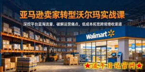 亚马逊卖家转型沃尔玛实战课，深挖平台蓝海流量，破解运营痛点，低成本拓宽跨境增收渠道-流年日记
