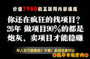 26年请不要疯狂的找项目了，卖项目远比你想象的暴利，你也可以月入10W+【揭秘】-流年日记