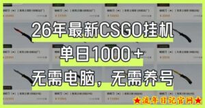 26年最新CSGO挂G系统，单日1000+，无需电脑，无需养号，0基础可上手【揭秘】-流年日记
