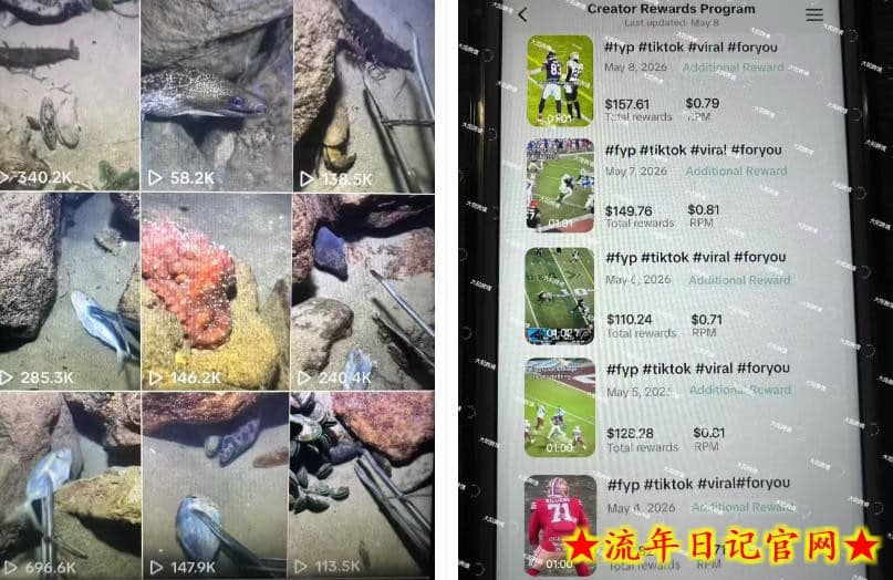 Tiktok中视频解说教程，体育+温情文案双赛道实操教程一站式带你落地，教你出海賺美刀