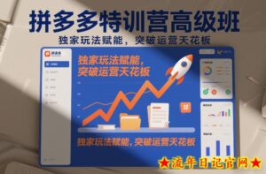拼多多特训营高阶班，独家玩法赋能，突破运营天花板（更新26年6月17日）-流年日记