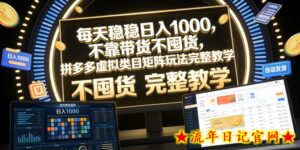 每天稳稳日入1000，不靠带货不囤货，拼多多虚拟类目矩阵玩法完整教学【揭秘】-流年日记