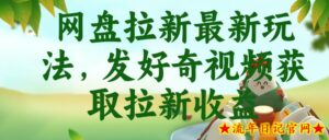 网盘拉新最新玩法，发好奇视频获取拉新收益，抖音收藏家玩法-流年日记
